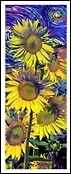Закладка 3D Sunflowers (Листопадова)
