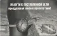 Сувенир Магнит 4*7см пластик. "на пути к поставленной цели..."