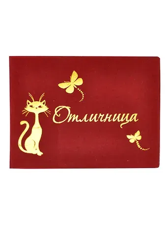 Обложка для зачетной книжки Отличница пластик 15,5*12 см (607142)