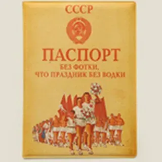 Обложка на паспорт Паспорт без фотки (Се-00015)