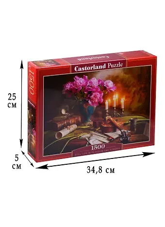 Пазл Castorland 1500 эл. 68*47см. Натюрморт-скрипка и цветы