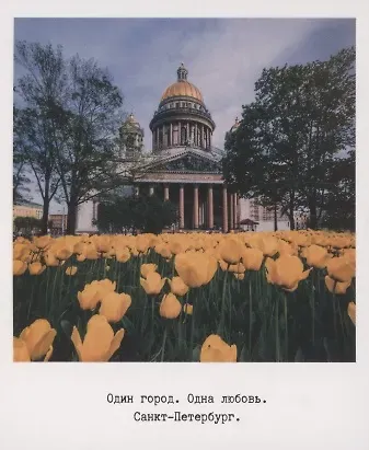 Открытка одинарная «Исаакиевский собор, тюльпан» фото