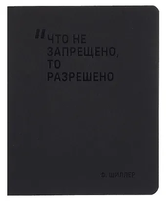 Тетрадь 48л кл. "Что не запрещено, то разрешено" дизайн.тонир. картон, Schiller