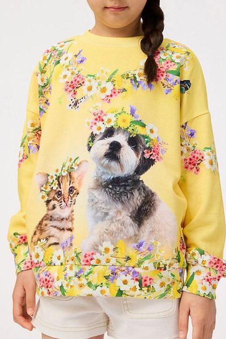 Свитшот хлопковый с принтом Molo 6472₽