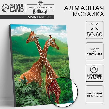 Алмазная мозаика с частичным заполнением на подрамнике «Жирафы», 50 x 60 см