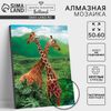 Алмазная мозаика с частичным заполнением на подрамнике «Жирафы», 50 x 60 см