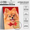 Алмазная мозаика с полным заполнением на подрамнике