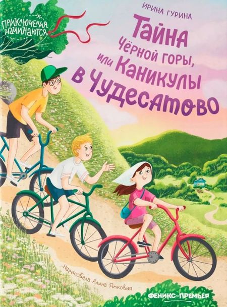 Ирина Валерьевна Гурина Тайна Черной горы, или Каникулы в Чудесатово