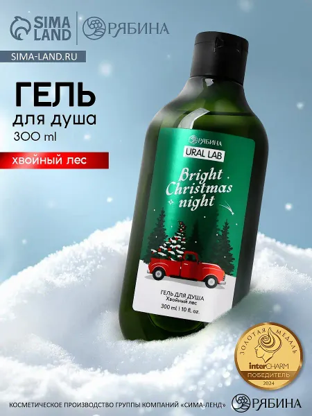 Гель для душа, 300 мл, bright christmas night, аромат: хвойный лес, winter melody