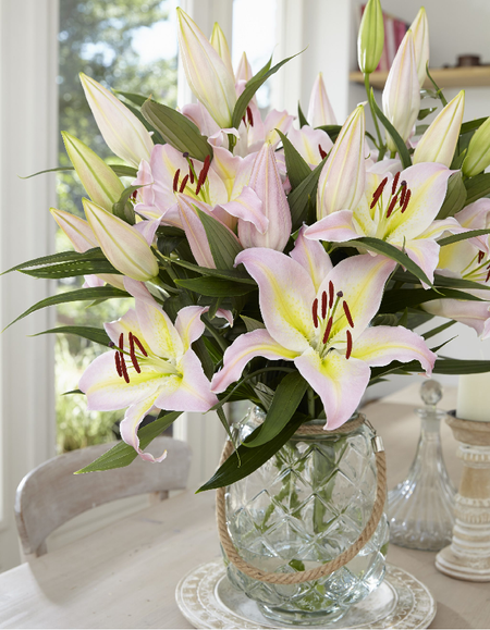 Лилия Фокус Покус 1 уп 2 шт 549₽