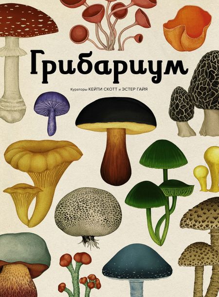 Дэвид Л. Хауксворт, Лора М. Сьюз, Пепейн В. Кой, Каре Лиматайнен Грибариум