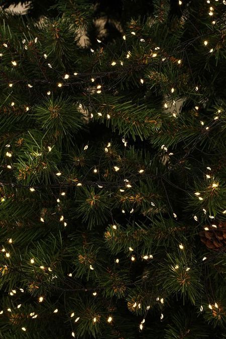 Электрогирлянда - теплый белый свет, 960 ламп 8 функций Triumph Nord