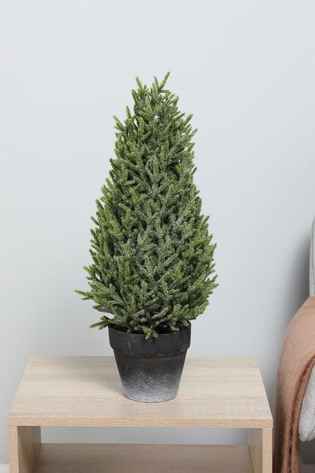 Туя новогодняя в кашпо Karlsbach 6790₽