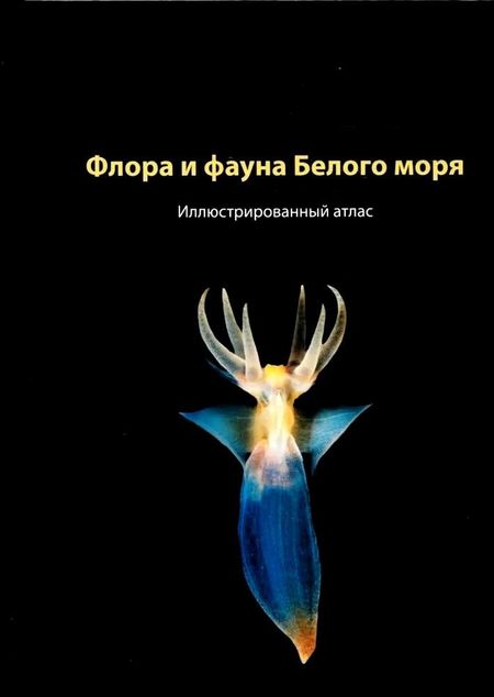 None Флора и фауна Белого моря. Иллюстрированный атлас