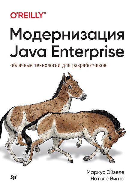 Маркус Эйзеле, Натале Винто Модернизация Java Enterprise: облачные технологии для разработчиков
