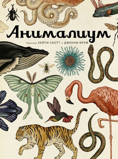 Дженни Брум Анималиум