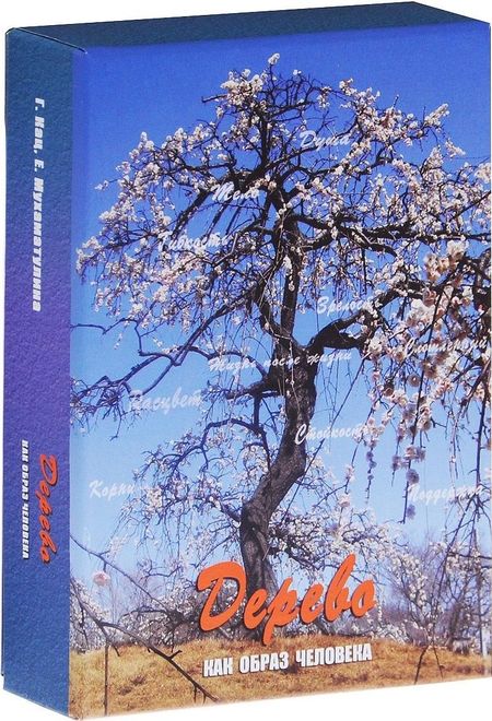 Галина Борисовна Кац Дерево как образ человека Метафорические карты (12+) Кац (коробка) (упаковка)