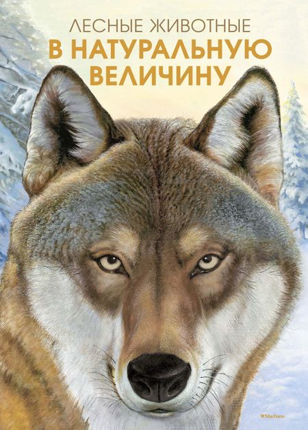 Хольгер Хааг Лесные животные в натуральную величину