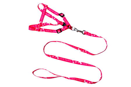 Комплект Куда ты туда я капрон 15 см 1-слойный шлейка 36-49см поводок 120см 142₽