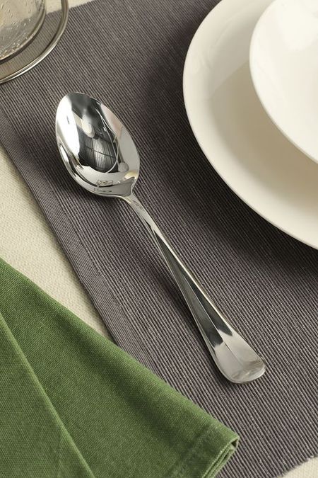 Ложка столовая из стали Roma Pintinox 442₽