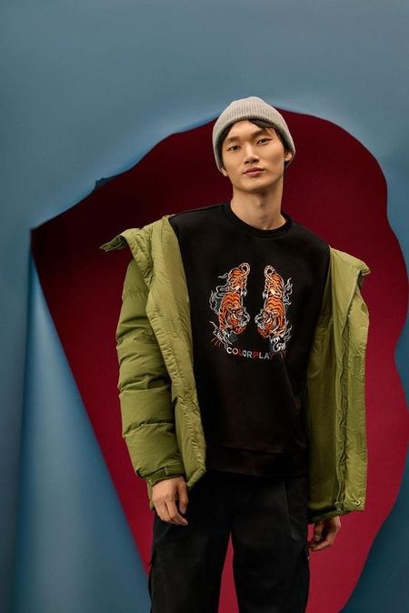 Свитшот хлопковый с принтом COLORPLAY 3667₽