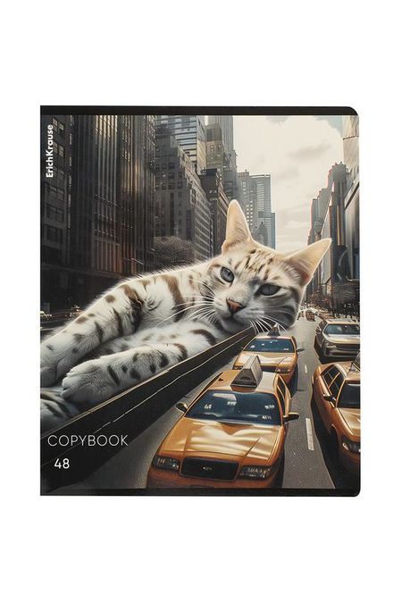 Тетрадь в клетку 48 листов ErichKrause 179₽