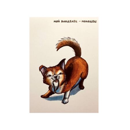 Благотворительная открытка quotМой владелец - молодец quot 10 99₽