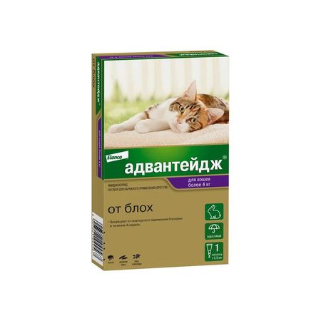 Elanco Адвантейдж капли от блох для кошек весом более 4 кг - 1 пипетка 494₽