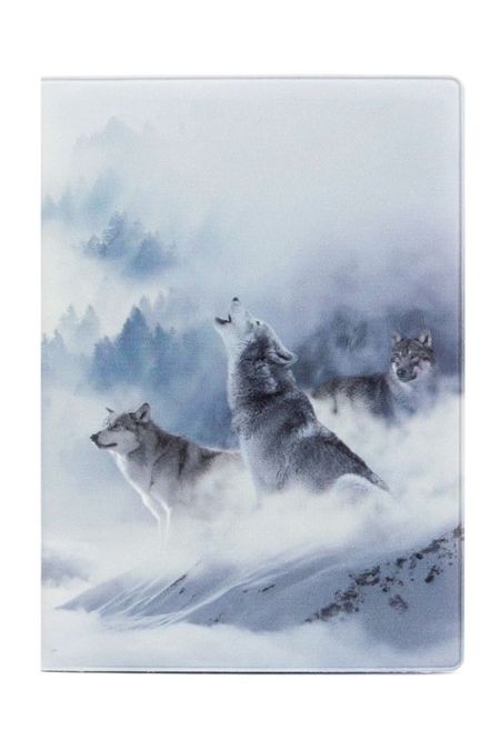 Обложка на автодокументы Волки Kawaii Factory 290₽