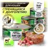 Just Cat Holistic Line влажный полнорационный корм для кошек, с ИНДЕЙКОЙ с ТЕЛЯТИНОЙ - 100 г