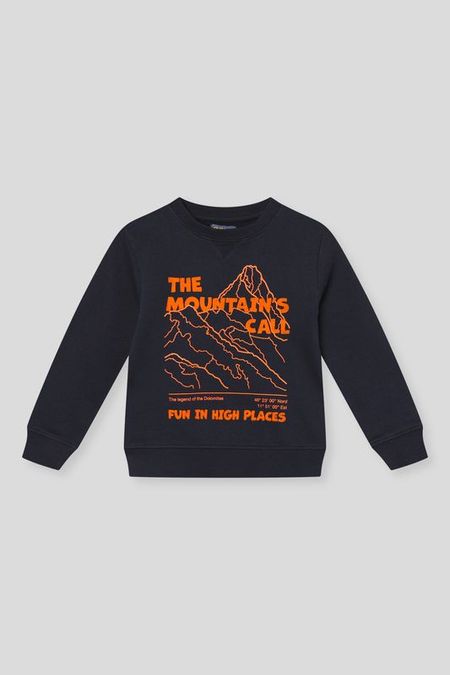 Свитшот хлопковый с принтом OVS 1147₽