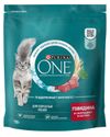 Корм сухой для кошек Purina ONE с говядиной