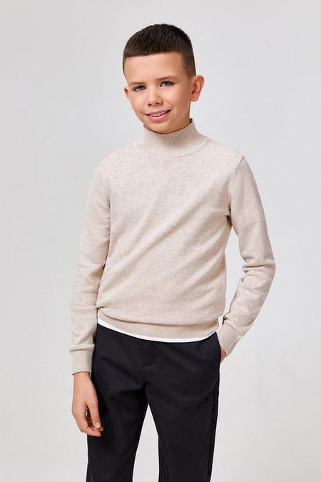 Водолазка хлопковая с воротником стойкой ACOOLA 1710₽