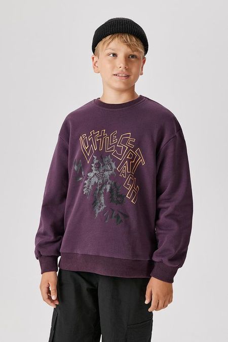 Свитшот хлопковый с принтом ACOOLA 1192₽