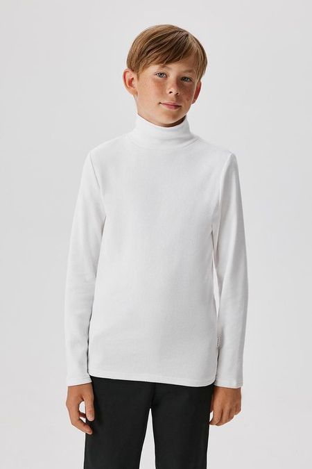 Водолазка хлопковая с воротником стойкой ACOOLA 825₽