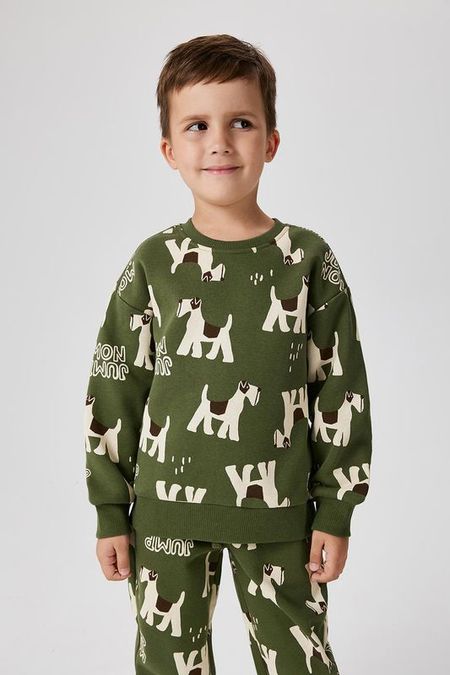 Свитшот хлопковый с принтом ACOOLA 975₽