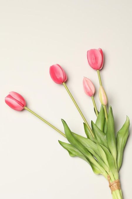 Декоративный букет Tulipano EDG 1250₽