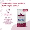 Сухой корм Monge Cat Indoor для домашних кошек