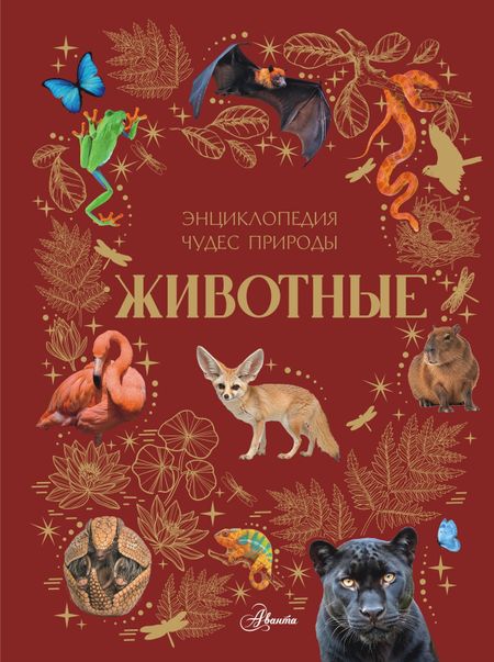Ярович Ангелина Геннадьевна Животные