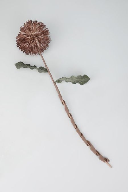 Растение декоративное Kersten 1200₽