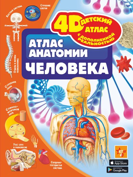 Анна Артуровна Спектор Атлас анатомии человека