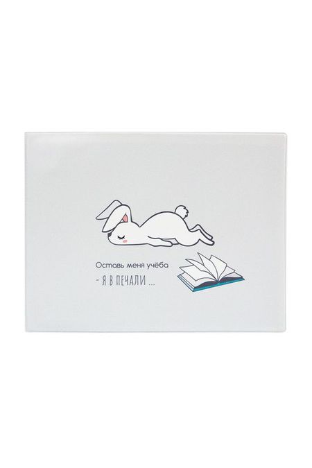 Обложка на зачетную книжку Печаль Kawaii Factory 150₽