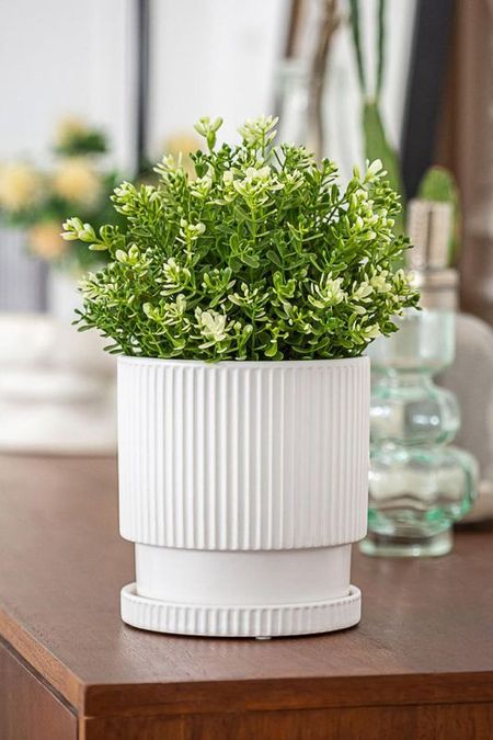 Горшок с блюдцем керамический Альмера MANDARIN DECOR 1195₽