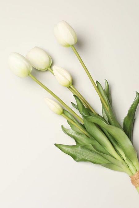 Декоративный букет Tulipano EDG 1250₽