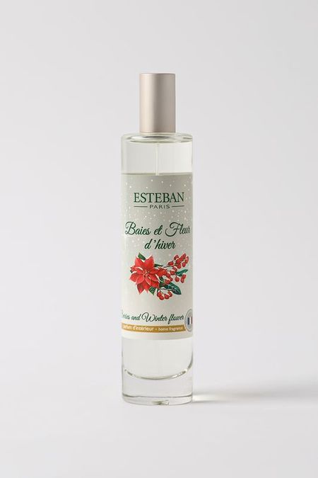 интерьерные духи-спрей Esteban 2992₽