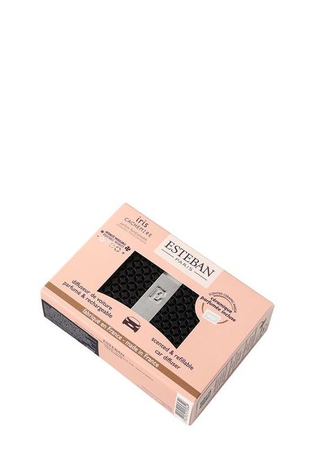 Автодиффузор Ирис и кашемир Classic Esteban 2317₽