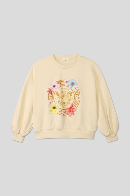 Свитшот хлопковый с принтом Choupette 922₽