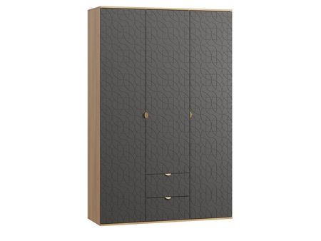 Распашной шкаф divanru Монблан-3 Lunge Grafit Oak 49990₽