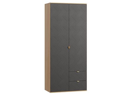 Распашной шкаф divanru Монблан-2 Fancy Grafit Oak 36990₽