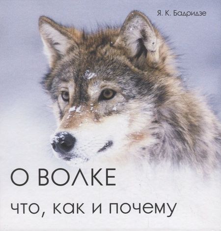 Ясон Бадридзе О волке. Что, как и почему